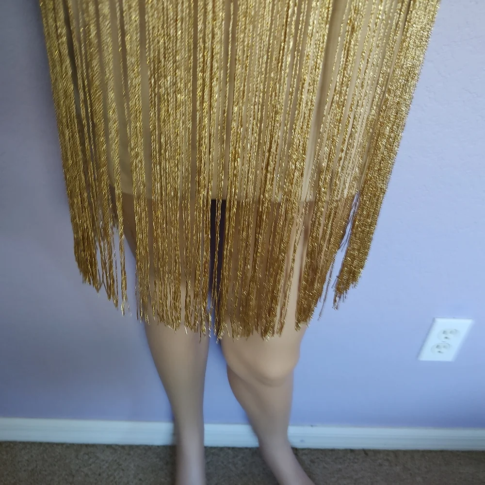 Forever 21 Gold Fringe Dress - Picture 4 of 8